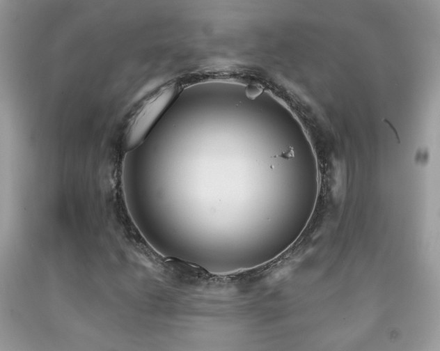 X0000092011206200709061525