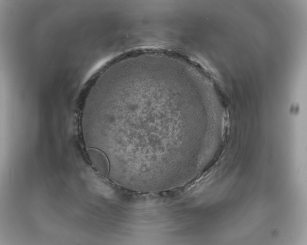 X0000092011208200709061525