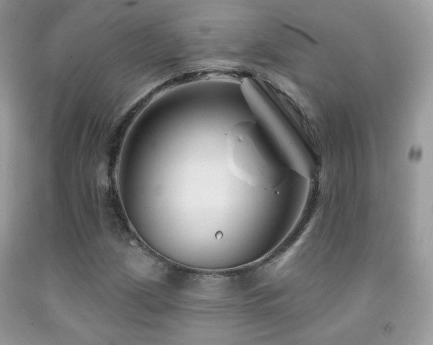 X0000092011209200709061525