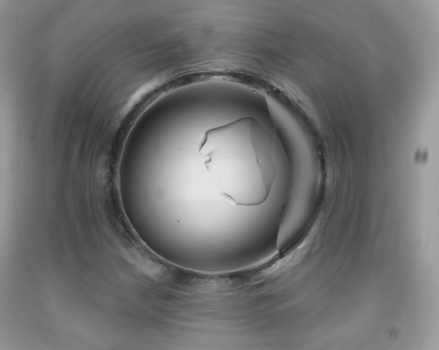 X0000092011210200709061525