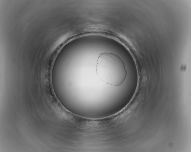 X0000092011211200709061525