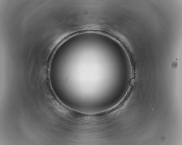 X0000092011212200709061525