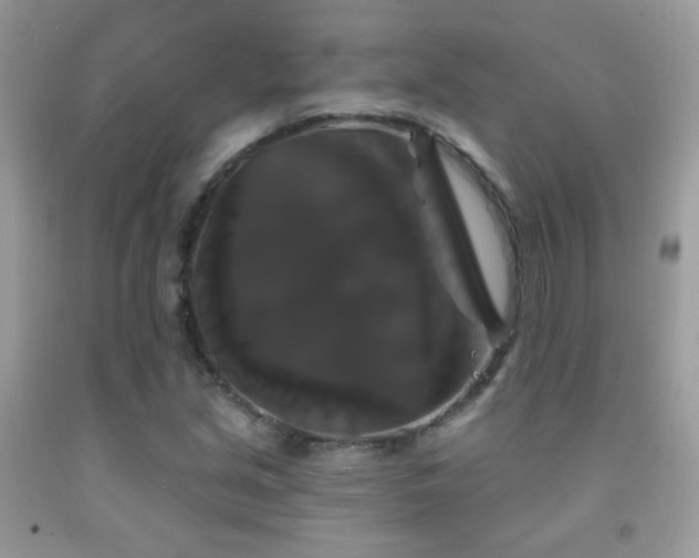 X0000092011213200709061525