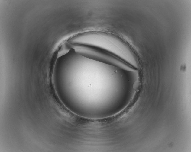X0000092011214200709061525