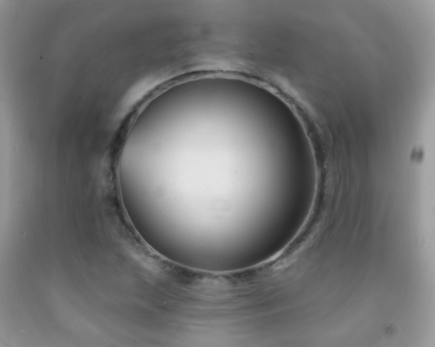 X0000092011215200709061525