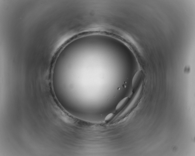 X0000092011216200709061525
