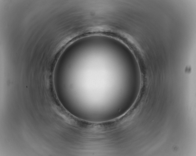 X0000092011217200709061525