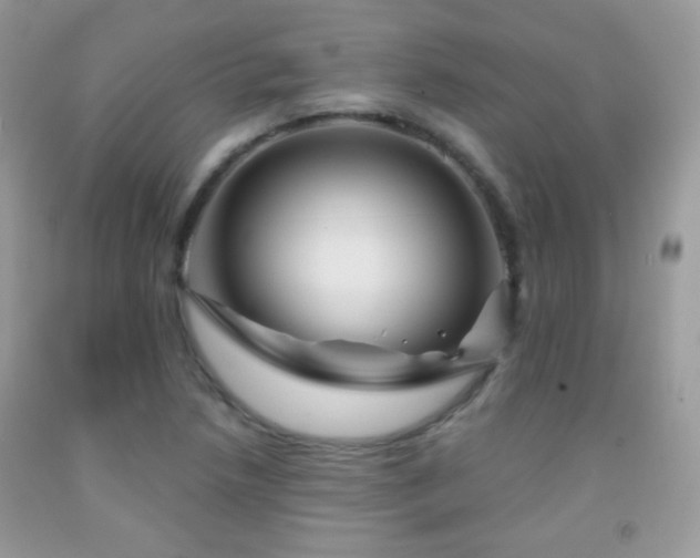 X0000092011218200709061525