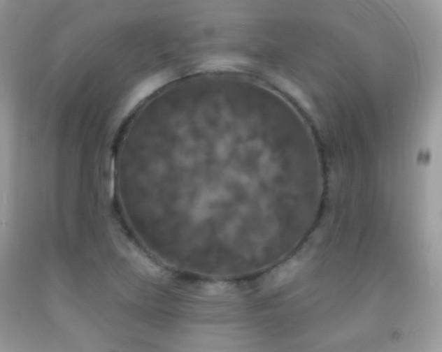 X0000092011219200709061525