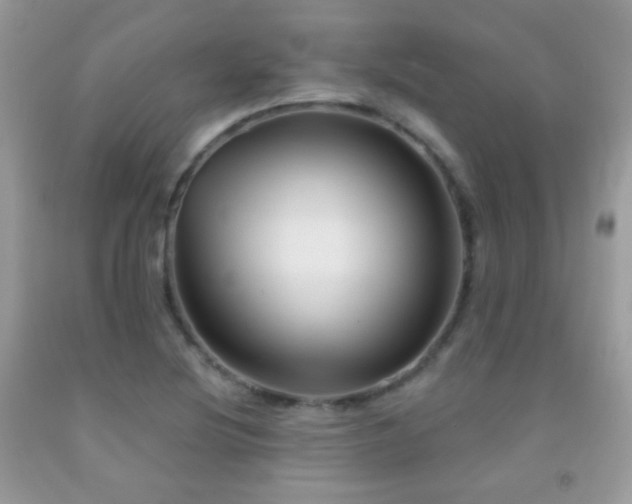X0000092011220200709061525