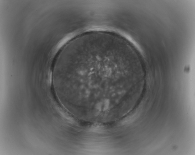 X0000092011221200709061525
