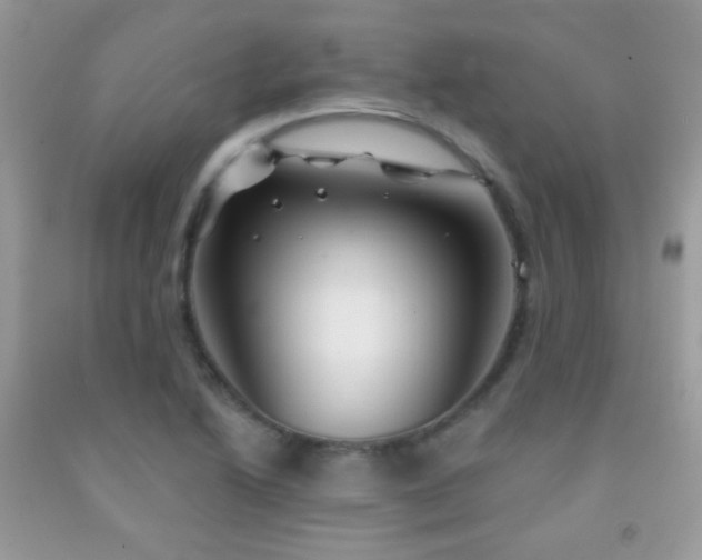 X0000092011222200709061525