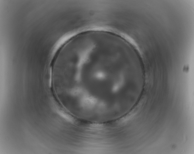 X0000092011223200709061525