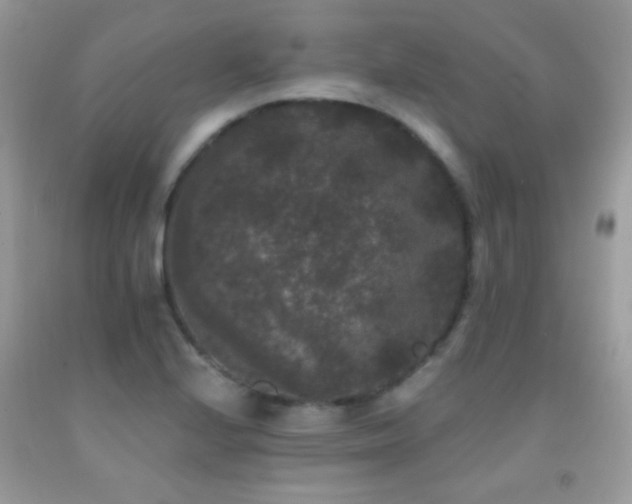 X0000092011224200709061525
