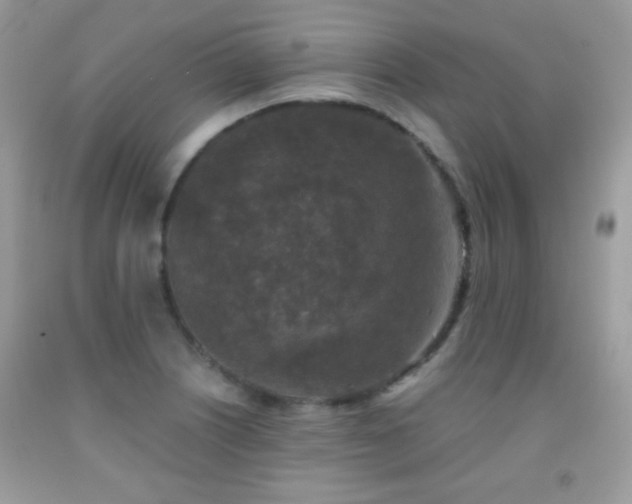 X0000092011226200709061525