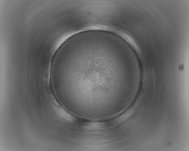 X0000092011228200709061525