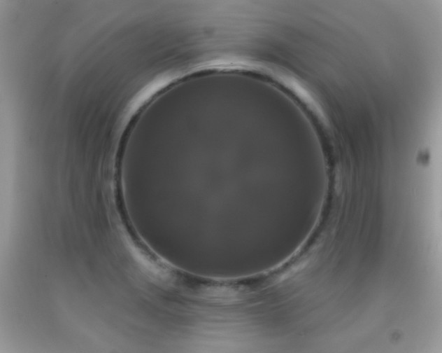 X0000092011229200709061526