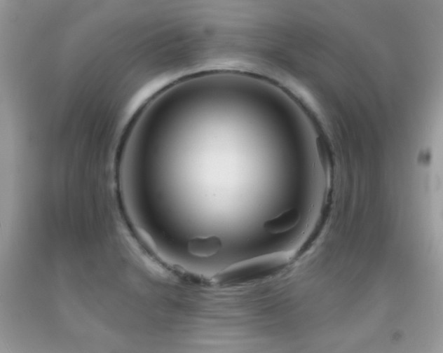 X0000092011230200709061526