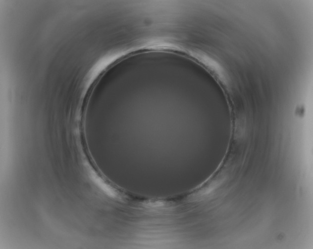 X0000092011231200709061526