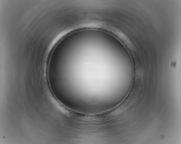 X0000092011232200709061526