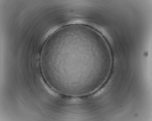 X0000092011233200709061526