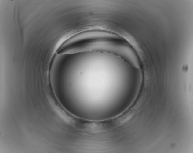 X0000092011234200709061526