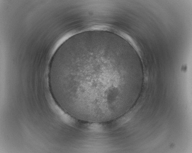 X0000092011235200709061526
