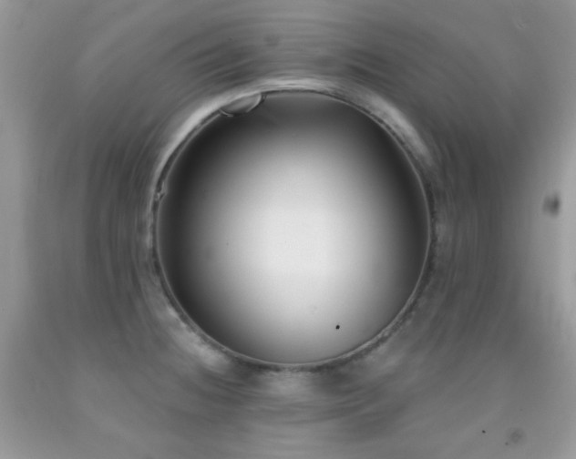 X0000092011236200709061526