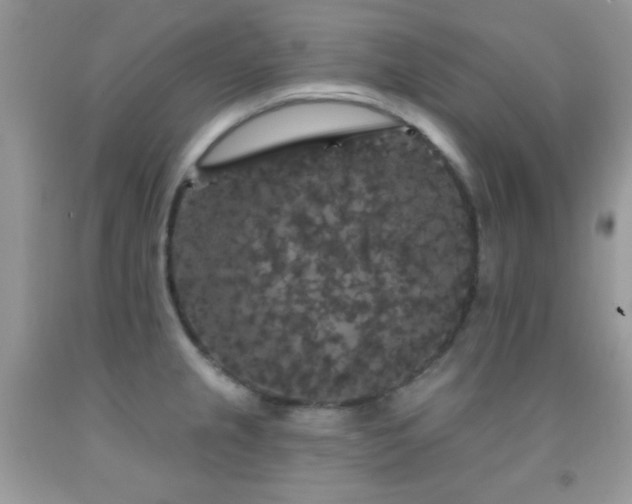X0000092011237200709061526