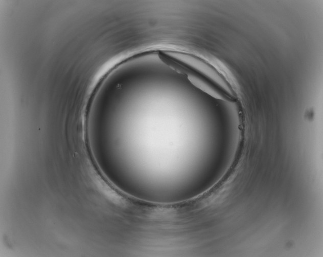 X0000092011238200709061526