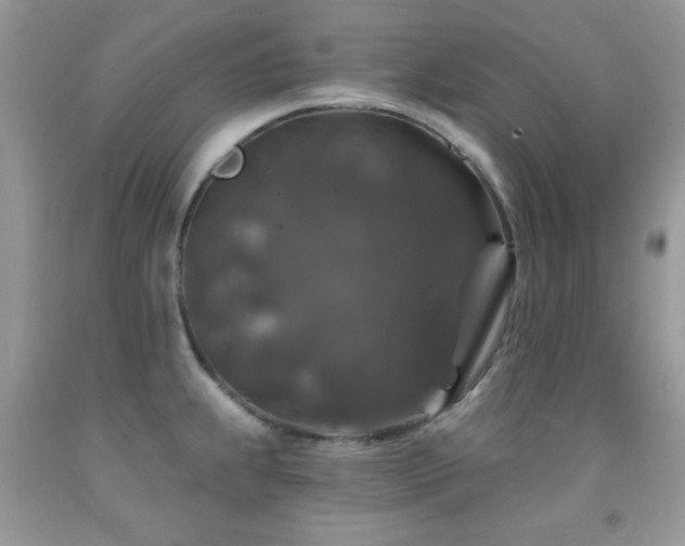 X0000092011239200709061526