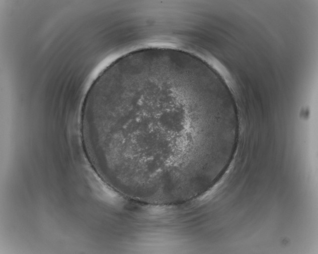 X0000092011240200709061526