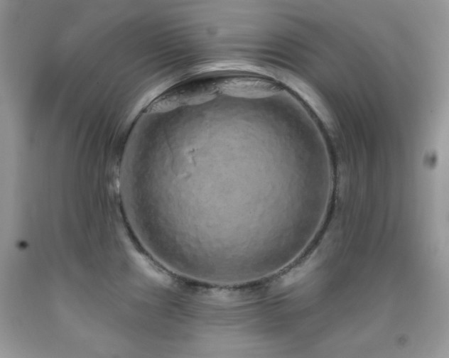 X0000092011241200709061526