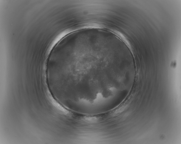 X0000092011243200709061526