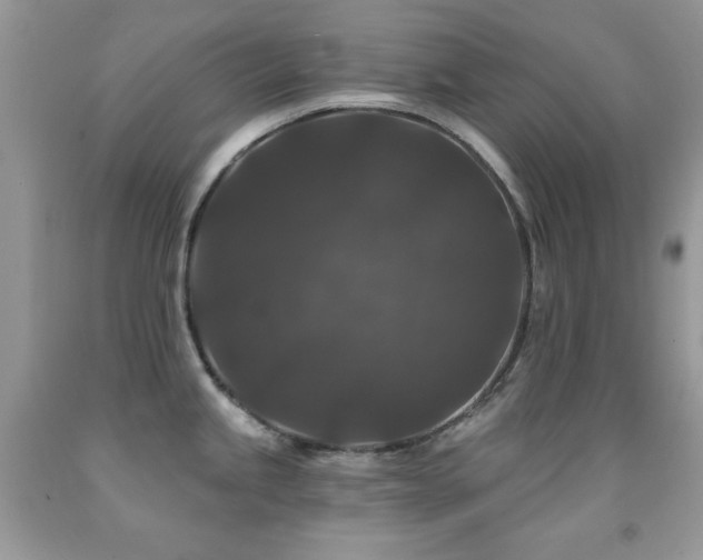 X0000092011245200709061526