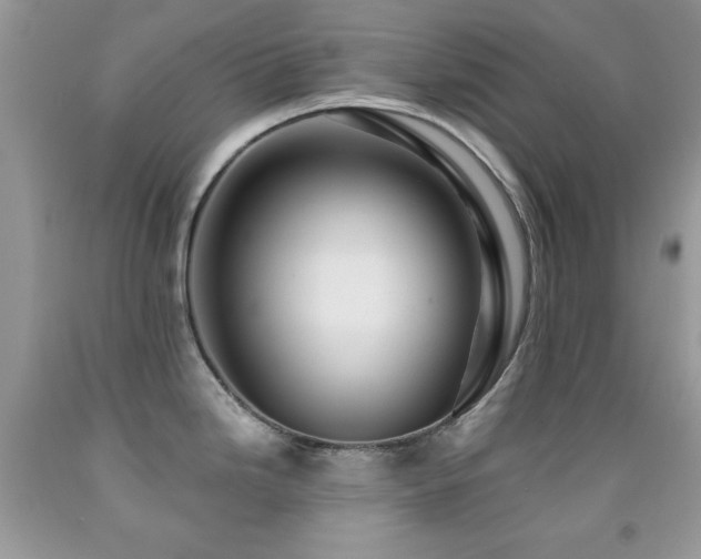 X0000092011246200709061526