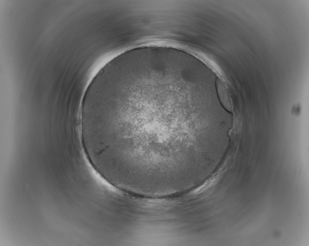 X0000092011247200709061526