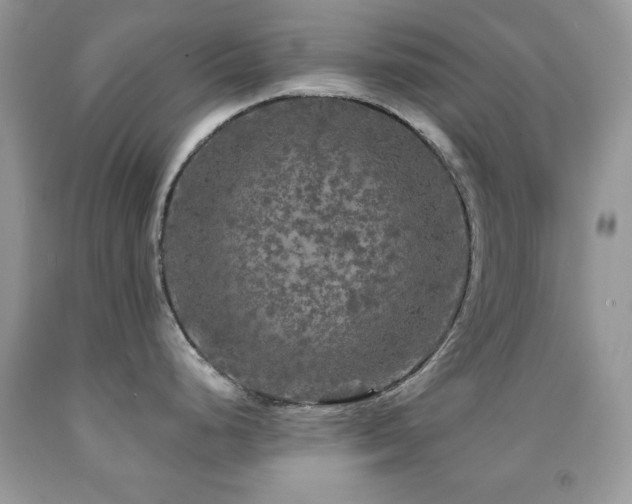 X0000092011248200709061526