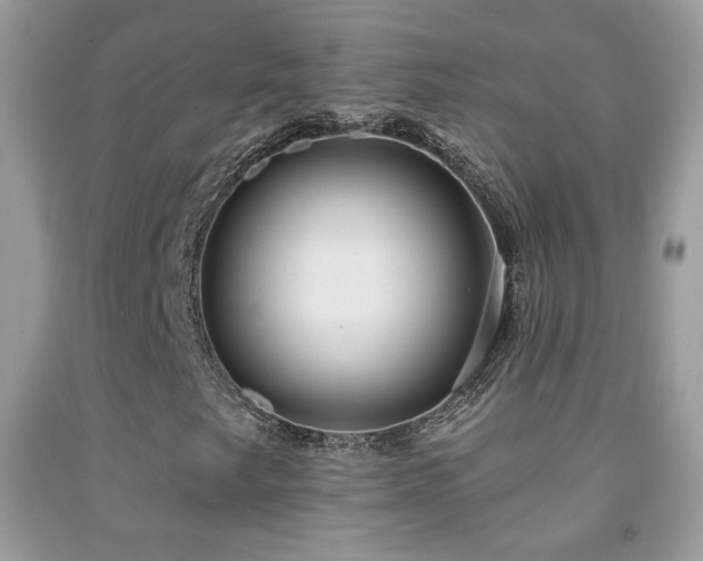X0000092011249200709061525