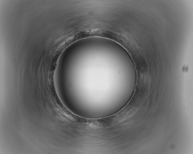 X0000092011250200709061525