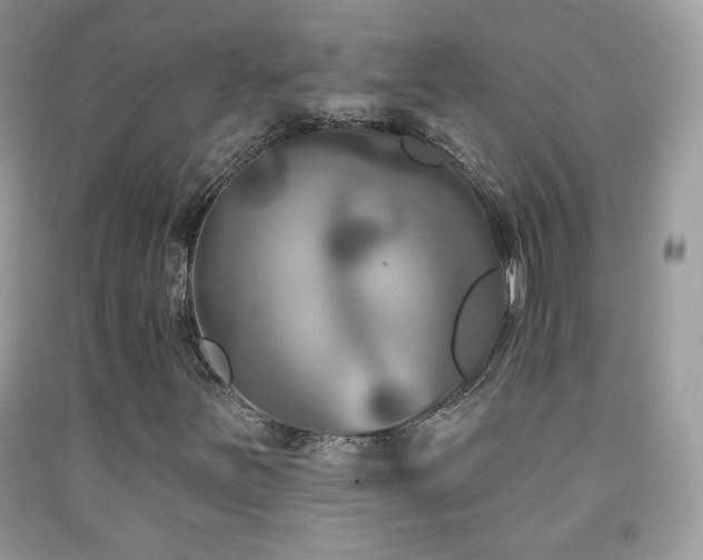X0000092011251200709061525