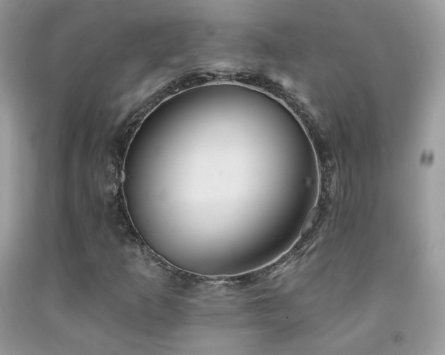 X0000092011253200709061525