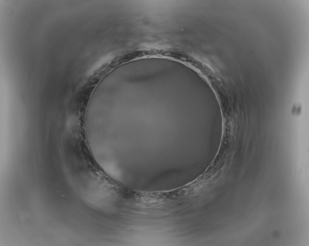 X0000092011254200709061525