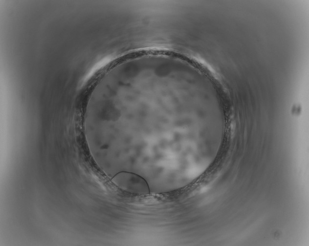 X0000092011255200709061525