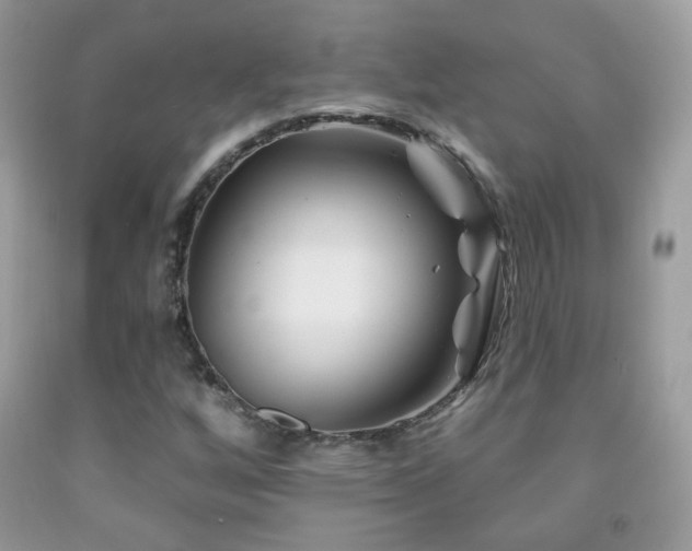 X0000092011256200709061525