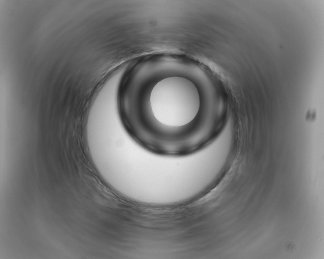 X0000092011257200709061525