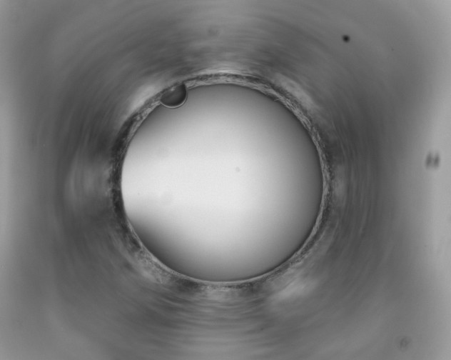 X0000092011258200709061525