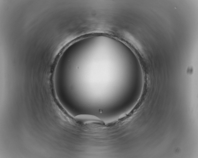 X0000092011260200709061525