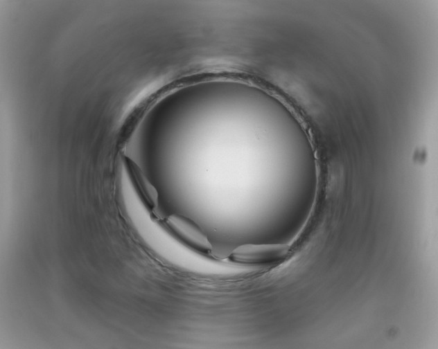 X0000092011261200709061525
