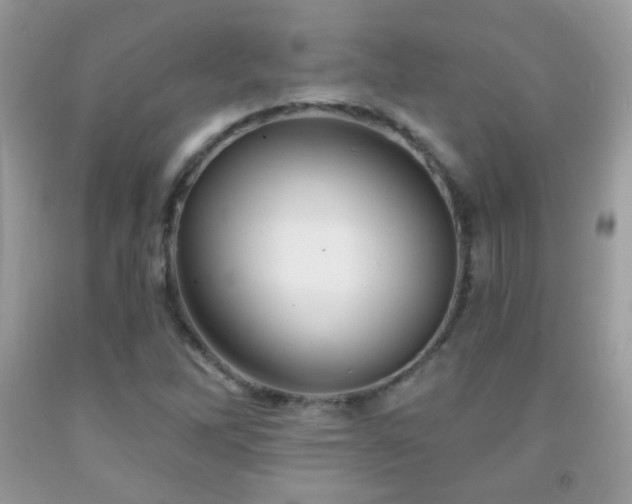 X0000092011262200709061525